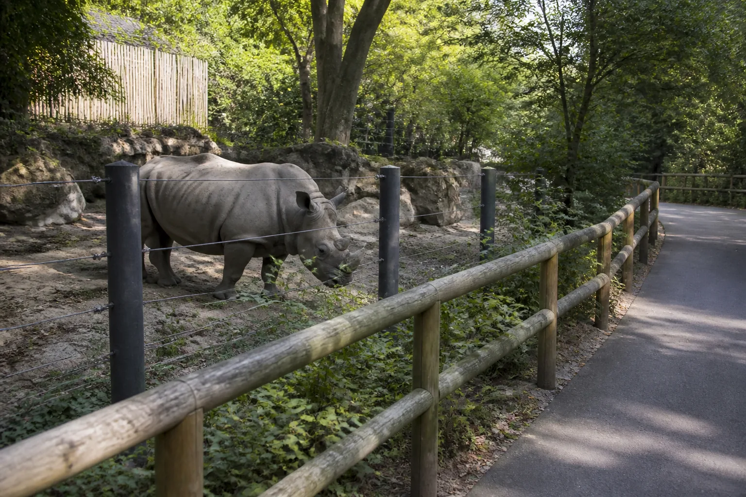 A Chessington animal paddock in daylight